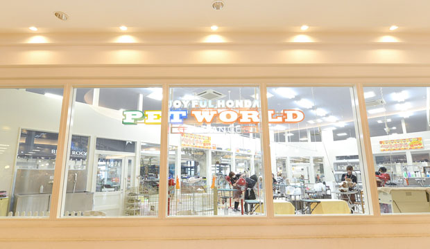 ジョイフル本田 PET WORLD